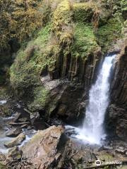 Drift Creek Falls Trail 1378 (Trail Head)