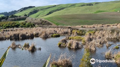 Pekapeka Wetlands