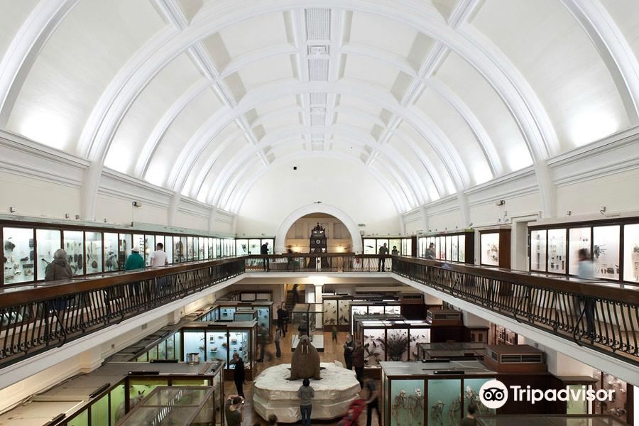Hôtels à proximité de : Musée Horniman