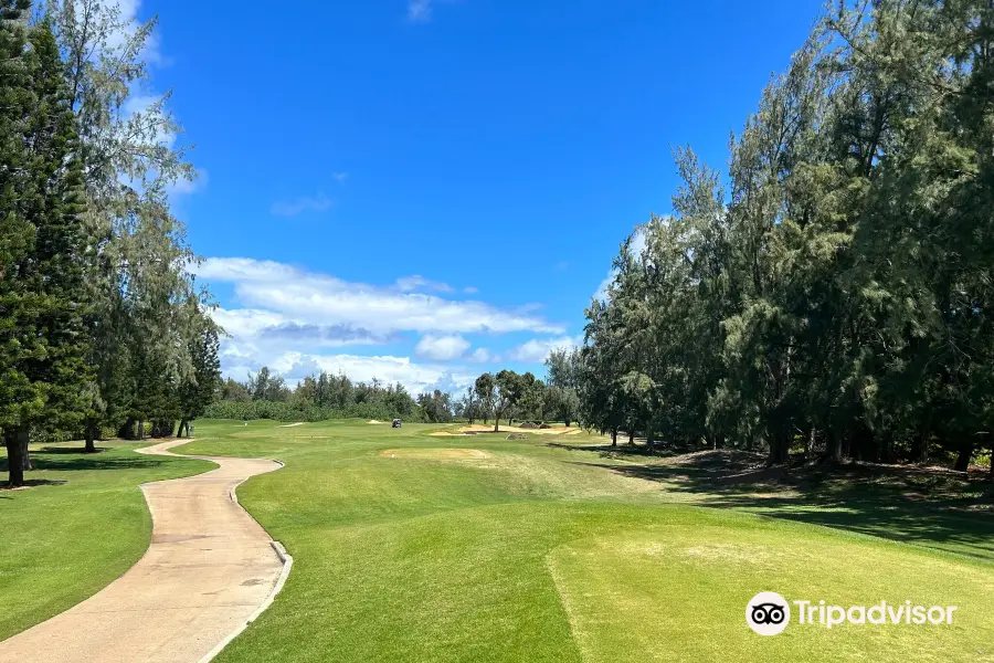 Turtle Bay Golf