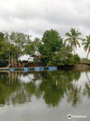 Tagum City River Cruise