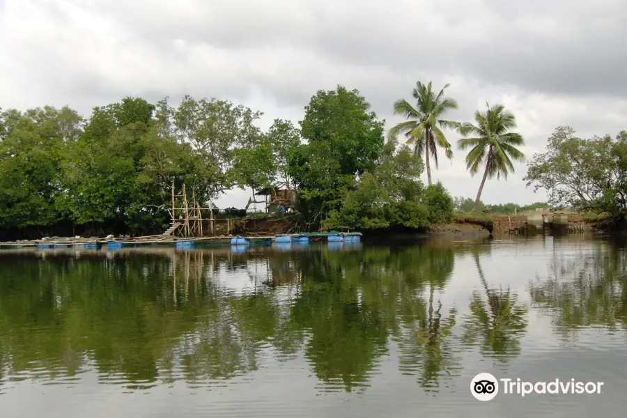 Tagum City River Cruise