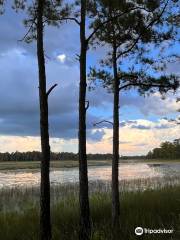 Mike Roess Gold Head Branch State Park