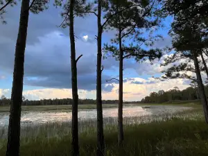 Mike Roess Gold Head Branch State Park