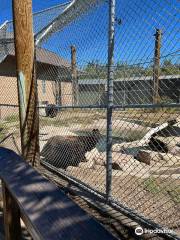 Big Bear Alpine Zoo