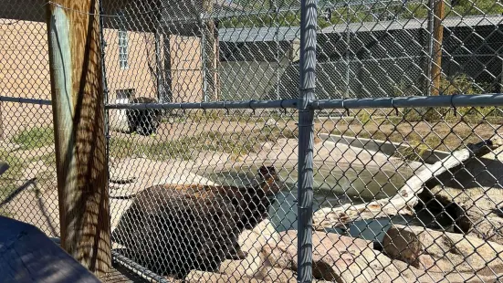 大熊湖動物園