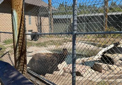 大熊湖動物園