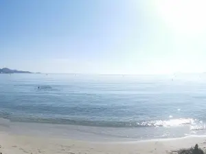 Playa de Muro Beach