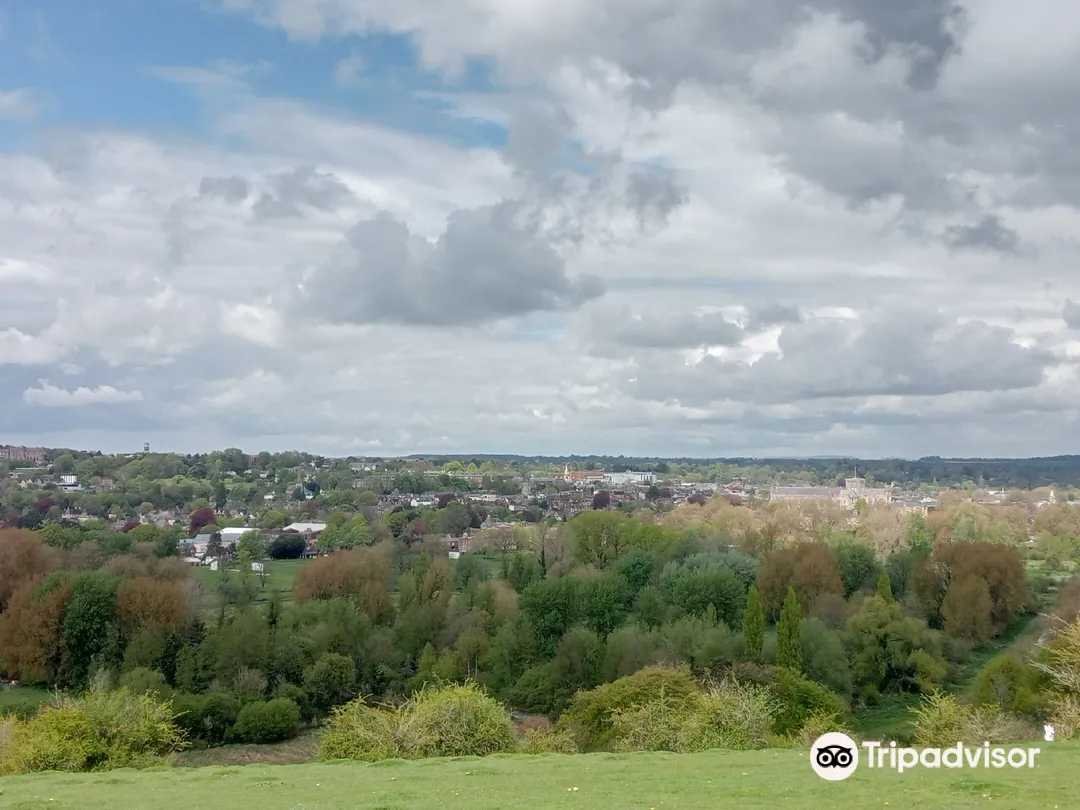 3_St Catherine's Hill