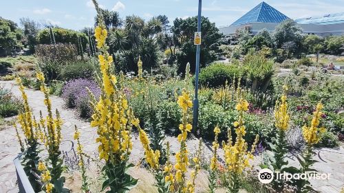 Southsea Rock Gardens