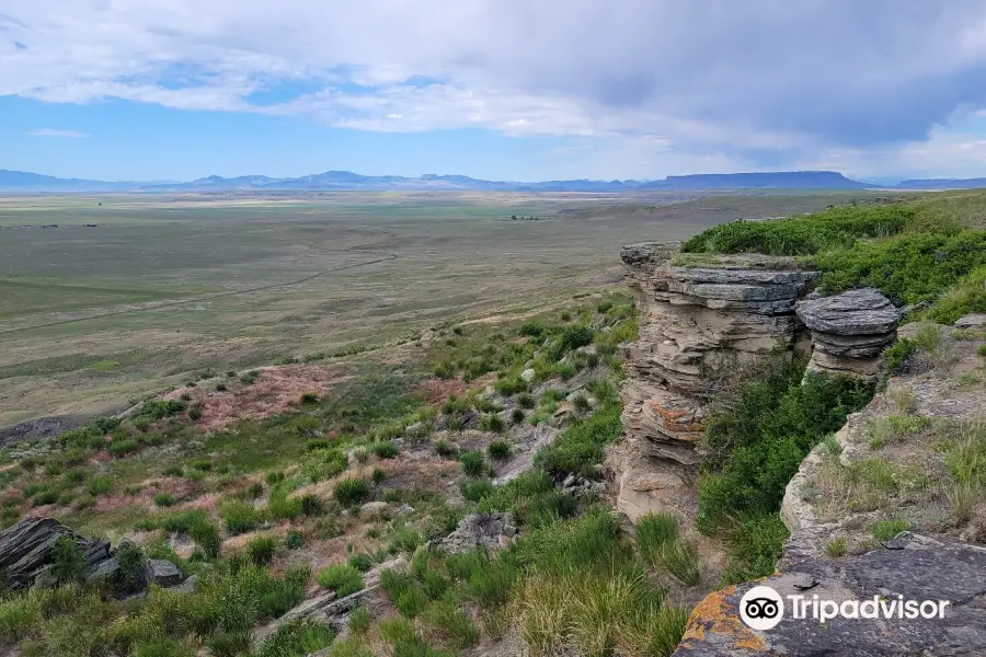 parc d'État First Peoples Buffalo Jump