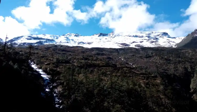 Hotels in Lachung