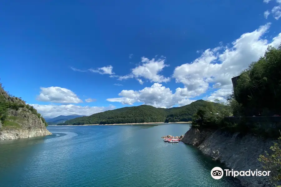 維德拉魯湖大壩