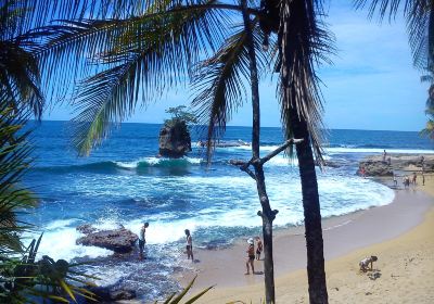 Punta Uva