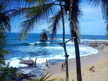Punta Uva