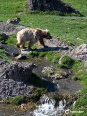 Nature and Animal Park Goldau