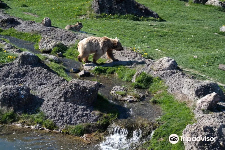 Nature and Animal Park Goldau