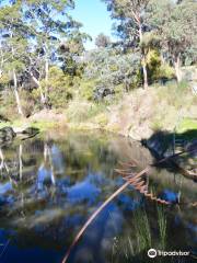 Hepburn Mineral Springs Reserve