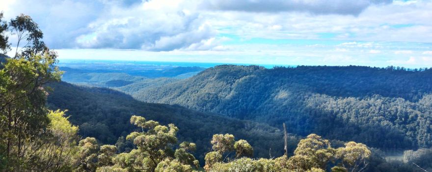 Best of All Lookout