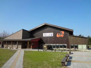 Tottori Karo Crab Aquarium