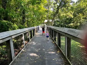 Parkin Archeological State Park