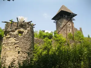 Nevytsky Castle