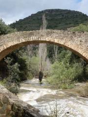 Sant Miquel del Fai Monastery