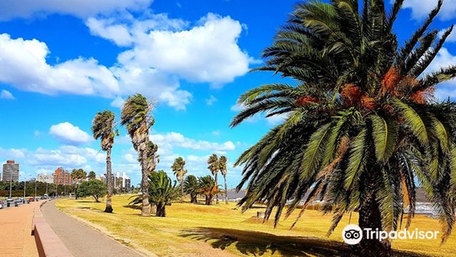 Corporación Casa Mía