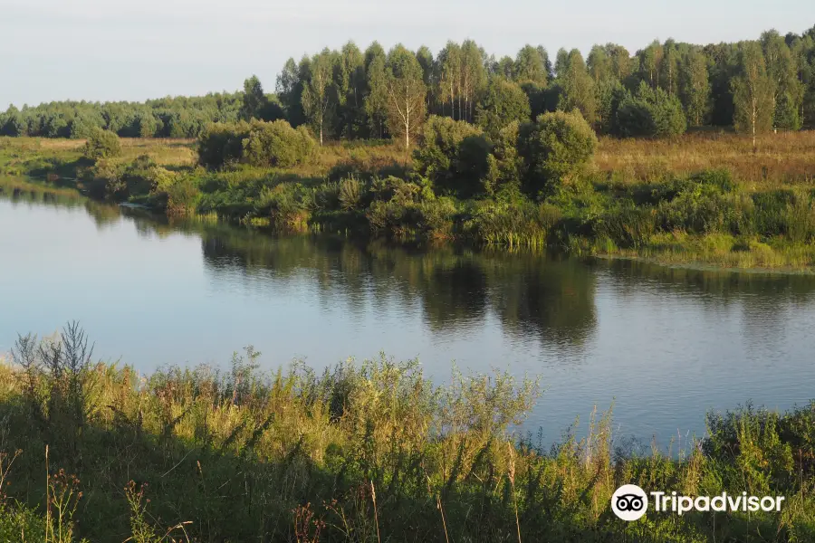 Ugra National Park