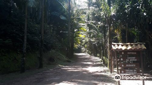 State Park Cantareira Core Cabuçu