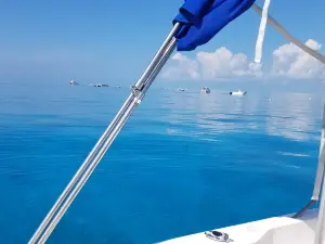 Florida Keys National Marine Sanctuary