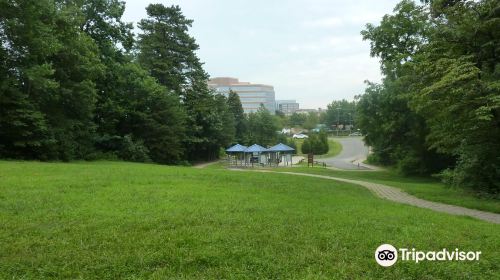 Ox Hill Battlefield Park