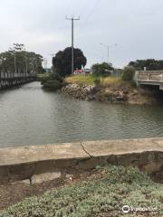 Sawtells Inlet Foreshore Reserve