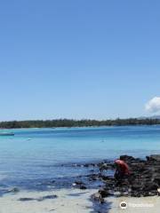 Blue Bay Marine Park