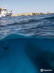 OrangeShark Diving Centre