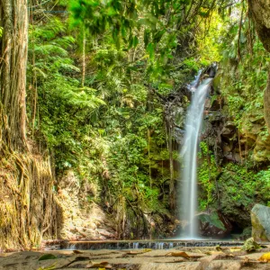 Palutungan & Curug Putri