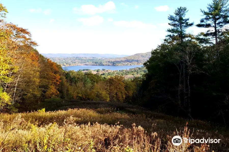 Olivia's Overlook