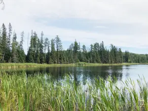 Duck Mountain Provincial Park