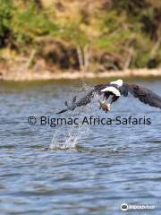 Bigmac Africa Safaris