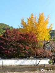 法泉寺