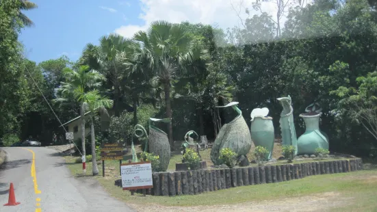 Berakas Forest Reserve Recreational Park