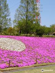 Dragon Park (Akasakadai Sogo Park)