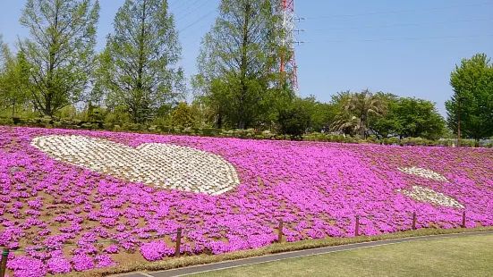 Dragon Park (Akasakadai Sogo Park)