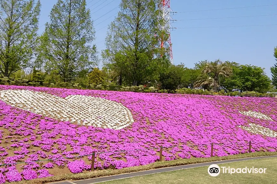 Dragon Park (Akasakadai Sogo Park)