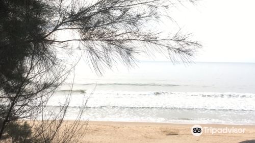 Pantai Berakas