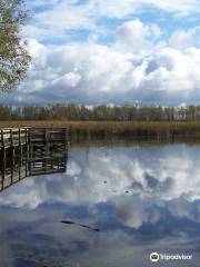 Tifft Nature Preserve