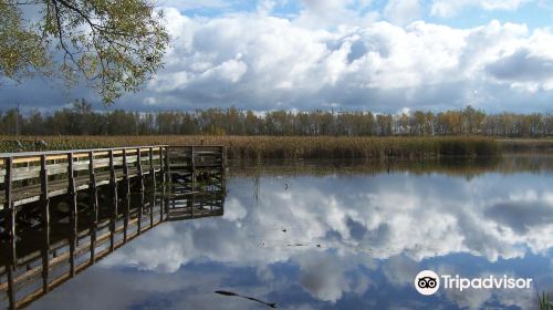 Tifft Nature Preserve