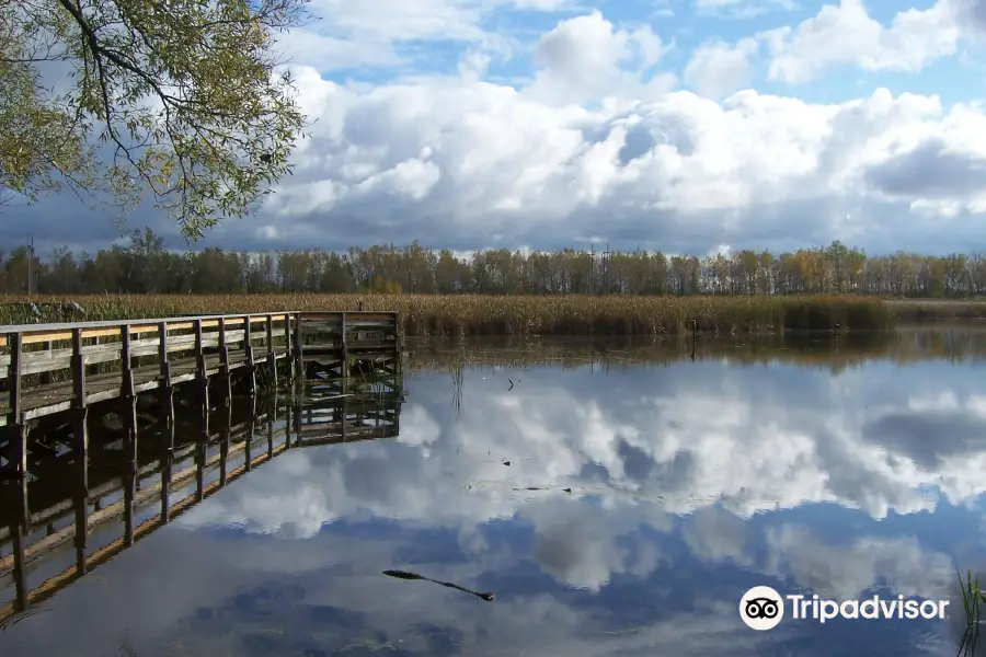 Tifft Nature Preserve