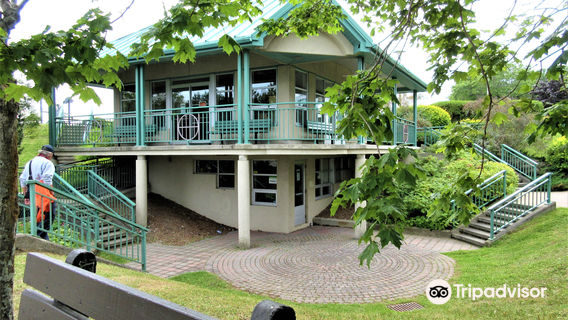 Salmon Observation Post