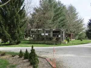 Treehouse Wildlife Center Inc